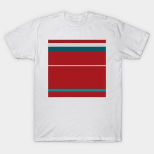 A unique blend of Blood (Animal), Blush, Pastel Gray, Dark Cyan and Petrol stripes. T-Shirt